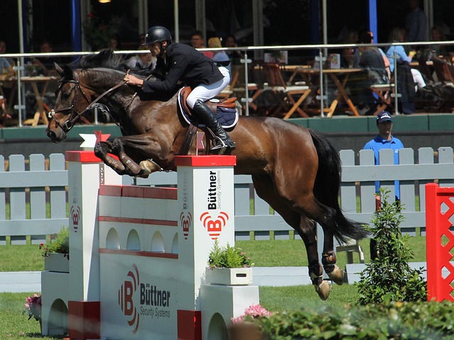 面对未来的 面对未来的