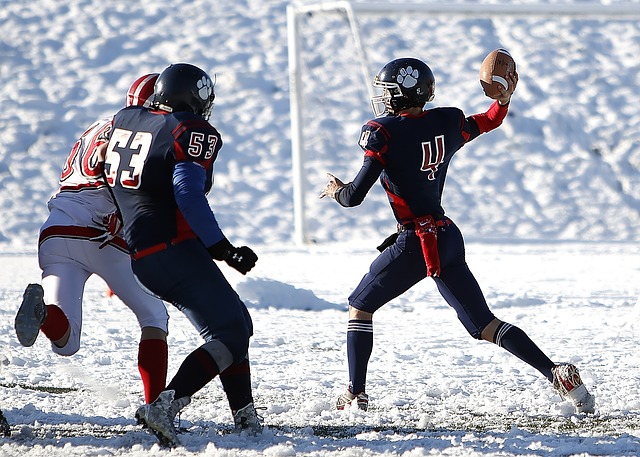 在球场上 在球场上